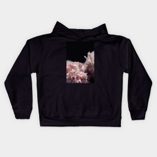 Perennial Kids Hoodie